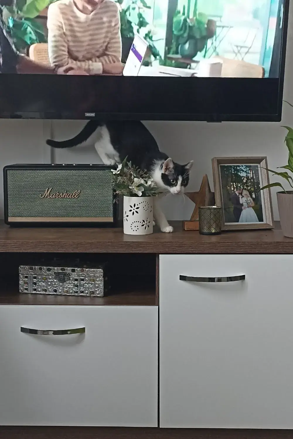 Kiki Preparing to Launch an Attack