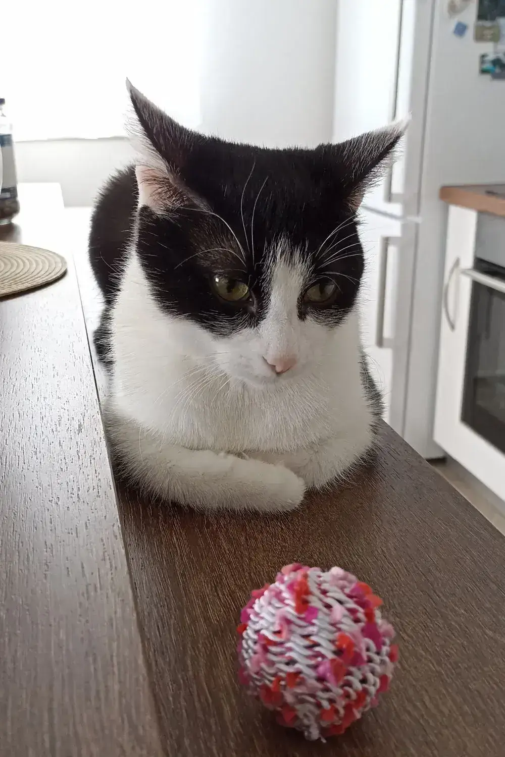Kiki Staying In One Position Not Knowing What to Do - Part 2