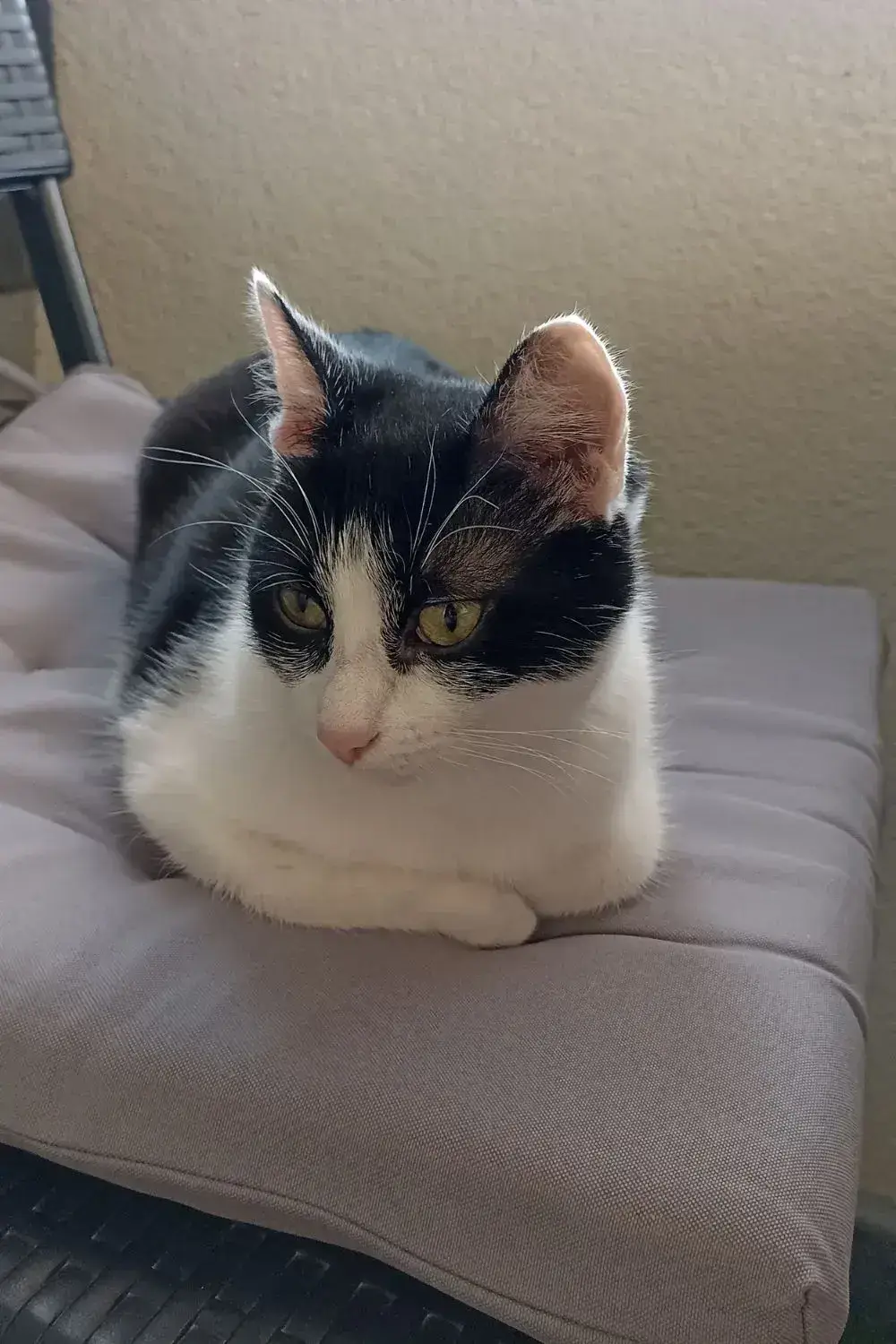 Kiki Staying In One Position Not Knowing What to Do